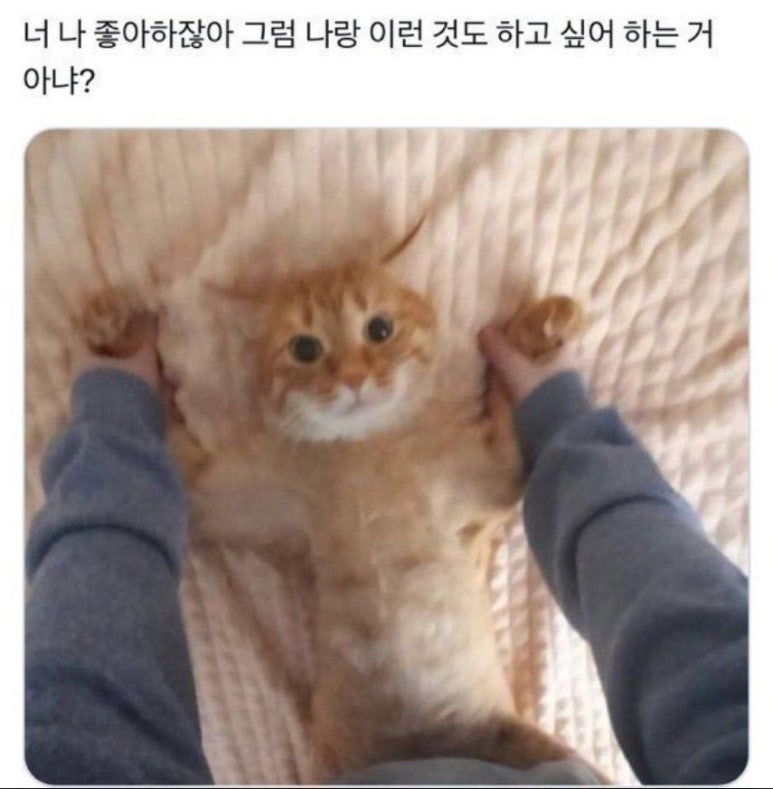 버킷리스트 이미지