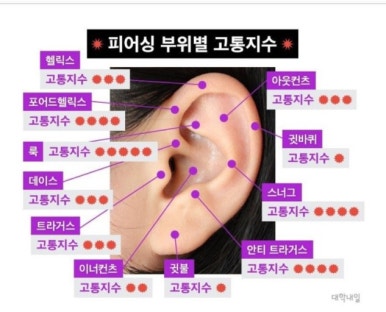 월드피어싱 이미지