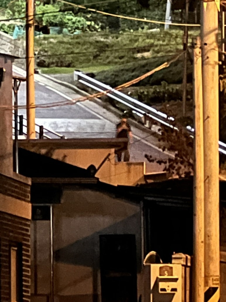 더벤티문경 이미지