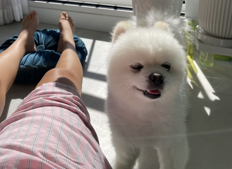 오씨오씨 이미지