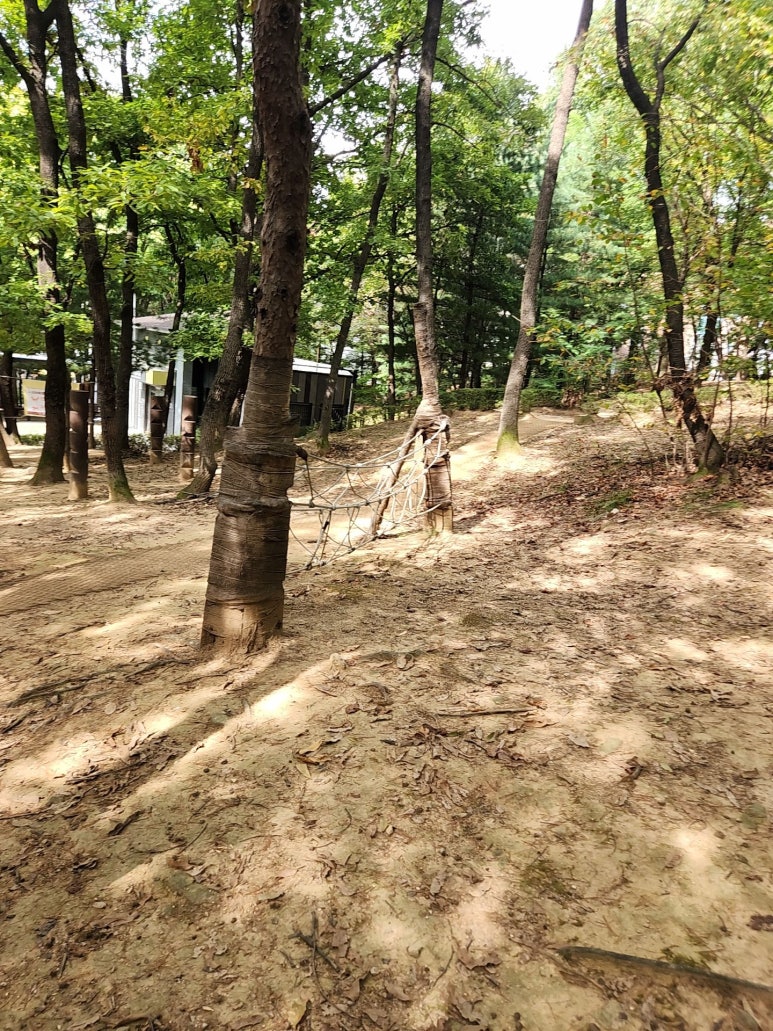 오목문화 유아숲체험원 이미지