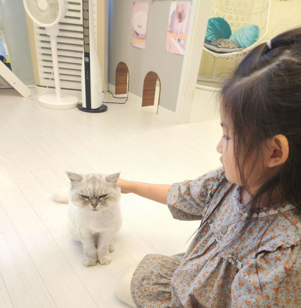 모여봐요 고양이카페 이미지