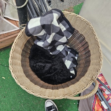 마장동아재네정육식당 이미지