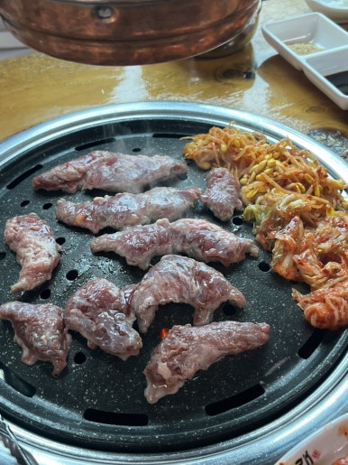 외대갈매기 이미지