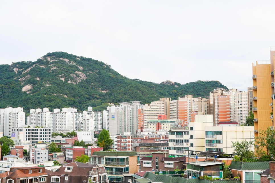멜로우버디 캠핑 리클라이너 각도조절 의자 사용 후기 "옥상에서 즐기는 완벽한 힐링 타임" 이미지 2