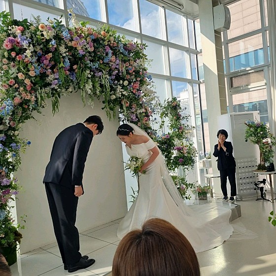 트라디노이 이미지