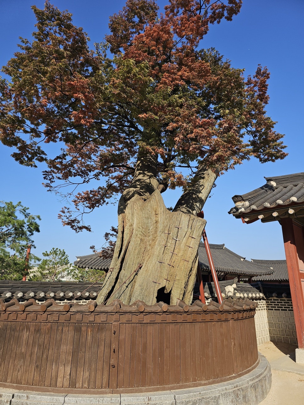 행궁책방 이미지