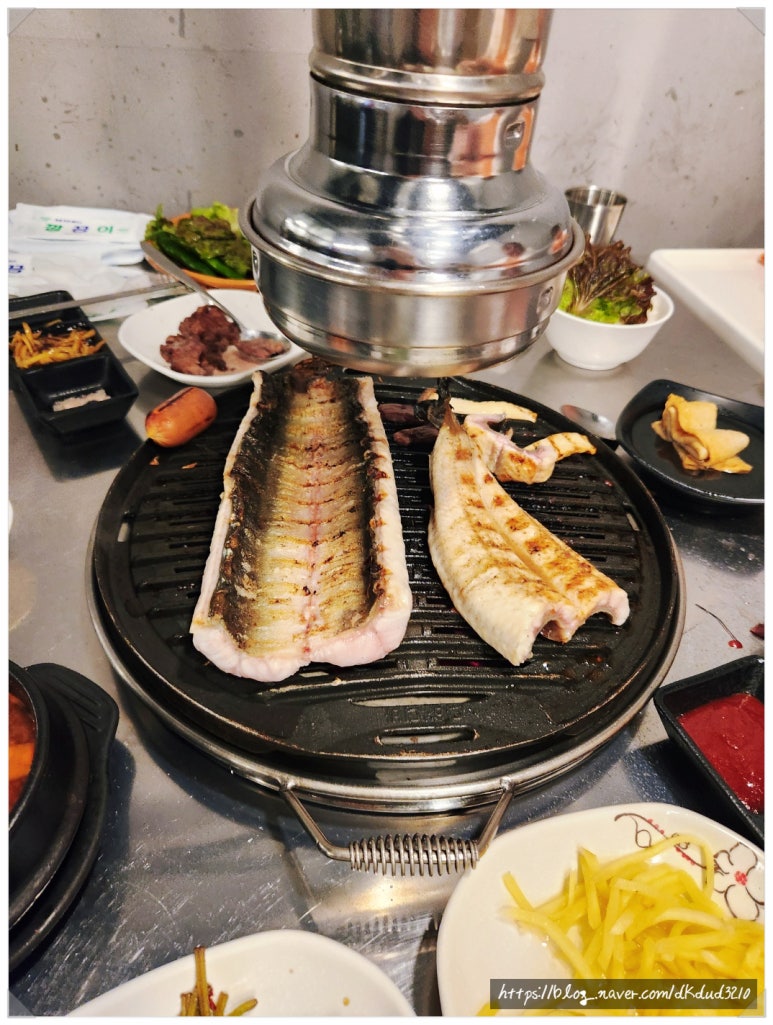 처음본명품민물장어 이미지