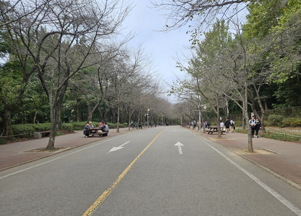 장수JC 이미지