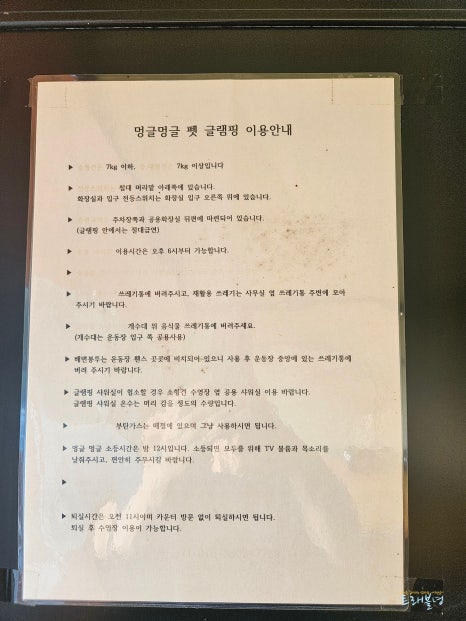 멍글멍글펫글램핑 이미지