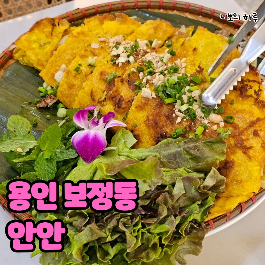 안안 이미지