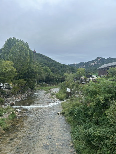 양주 더 맑음 이미지