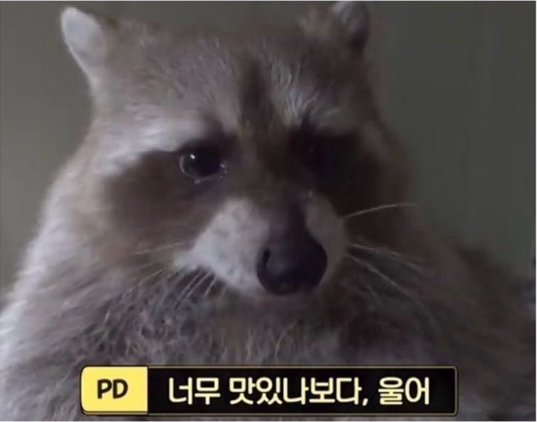 진미 평양냉면 이미지