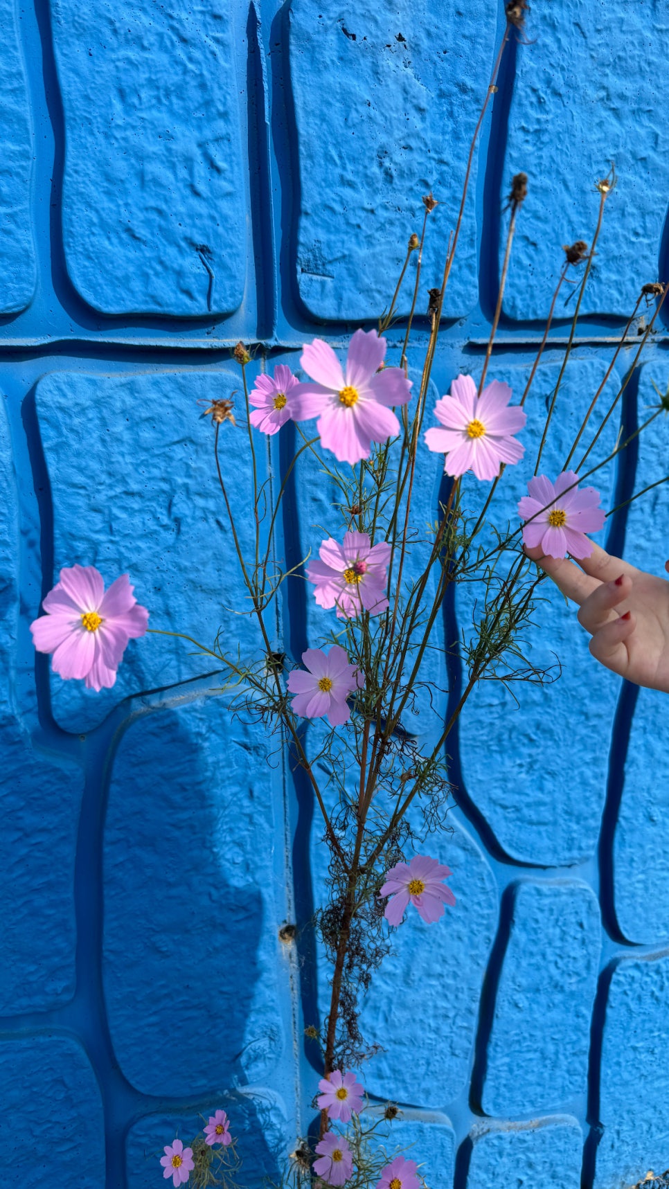(주)유리섬 이미지
