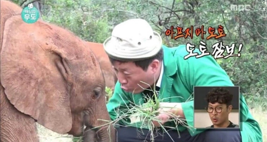 도토 이미지