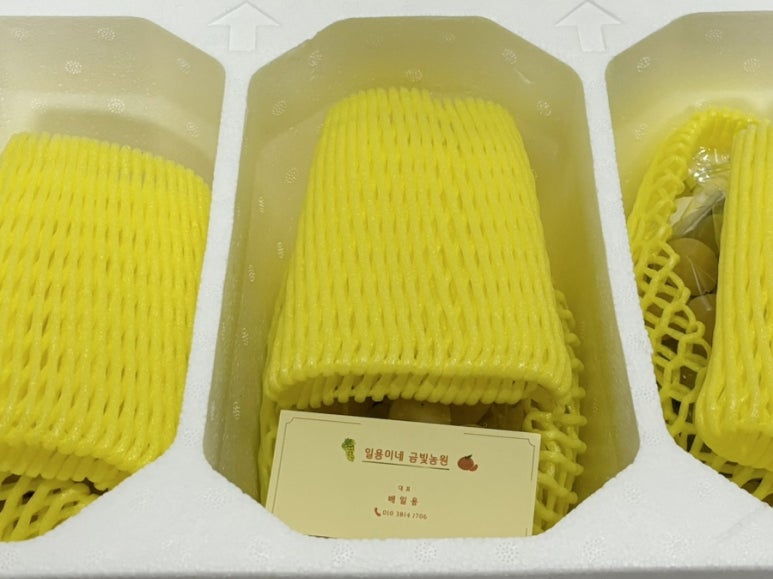 일용이네 이미지
