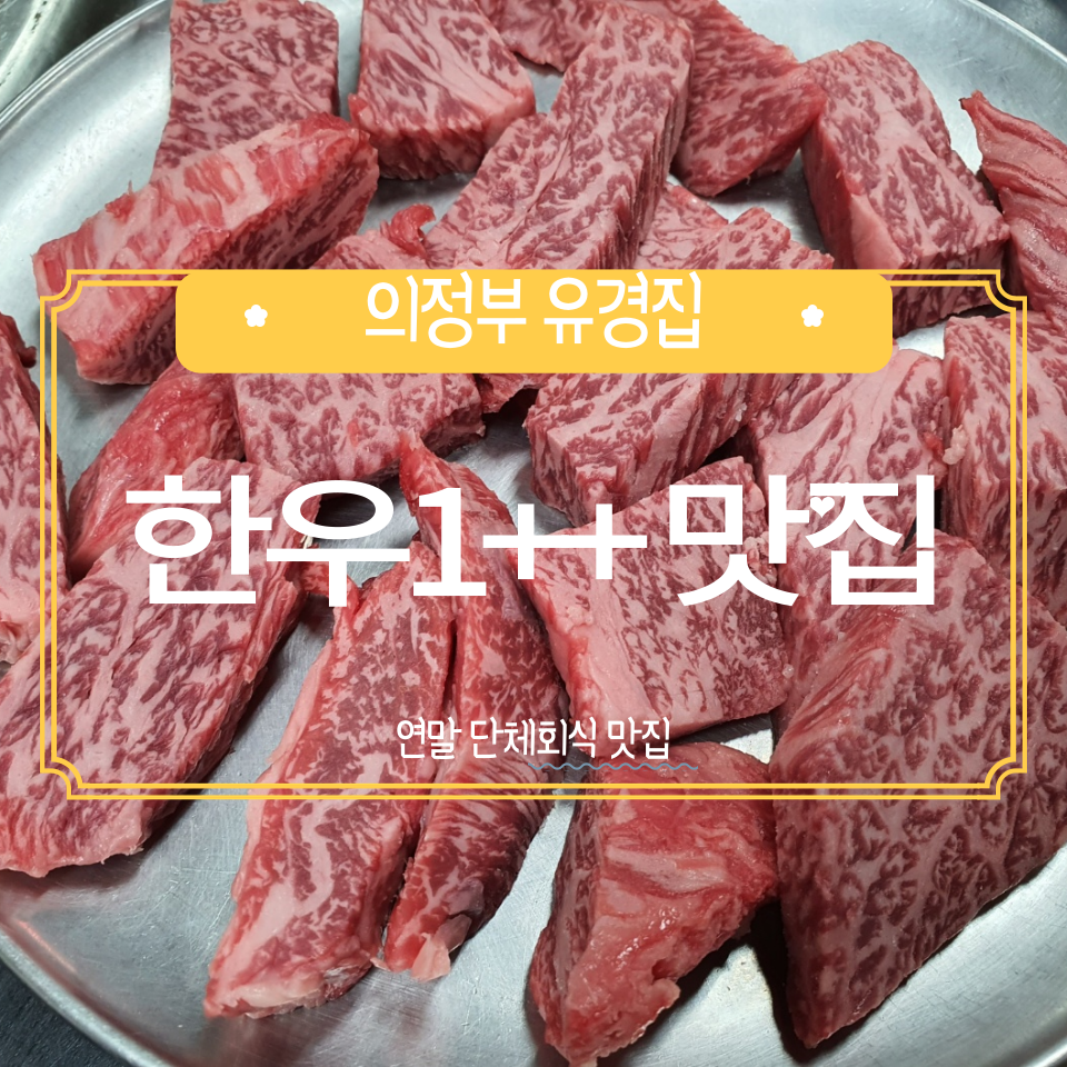유경집 이미지