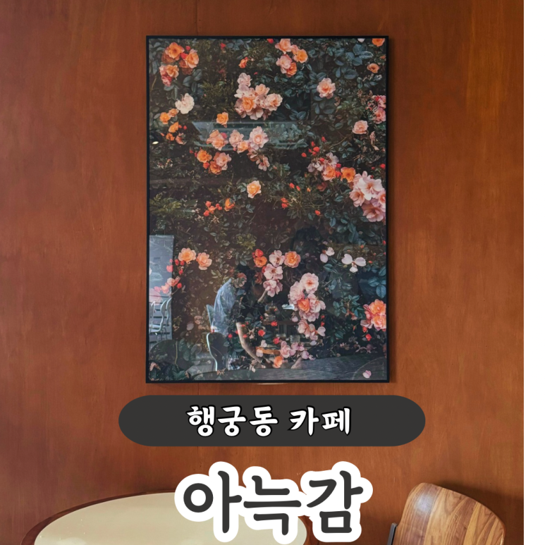 아늑감 이미지
