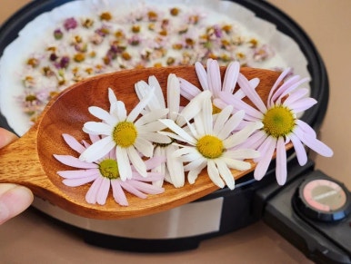 꽃차day 이미지