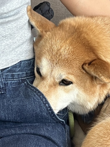 한움 이미지