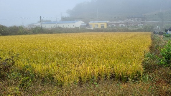 (주)누룽지 이미지