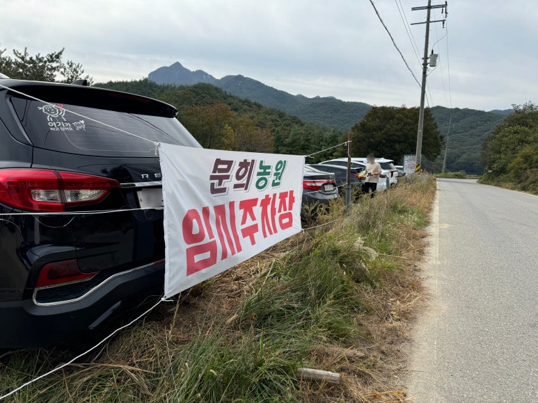 문희꽃밭 이미지