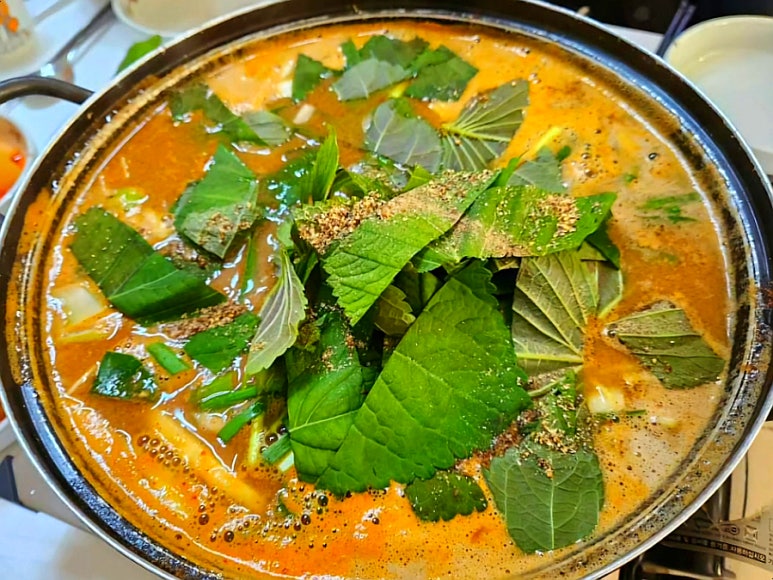돼지랑추어랑 이미지