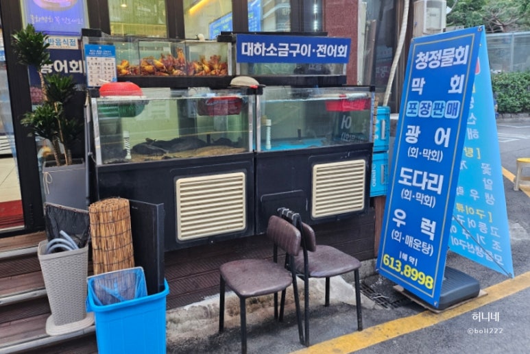 청정물회엔막회 이미지