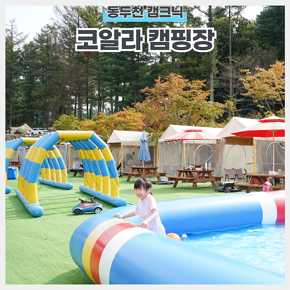 코알라캠핑장 이미지
