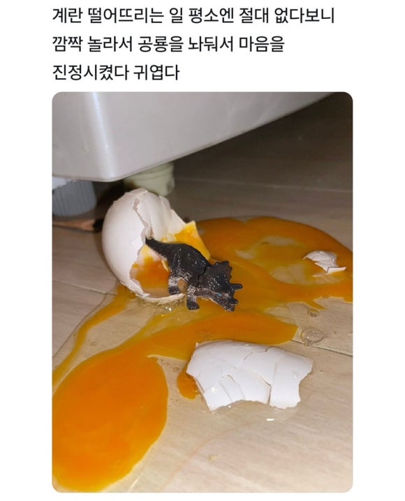 시종일관 이미지