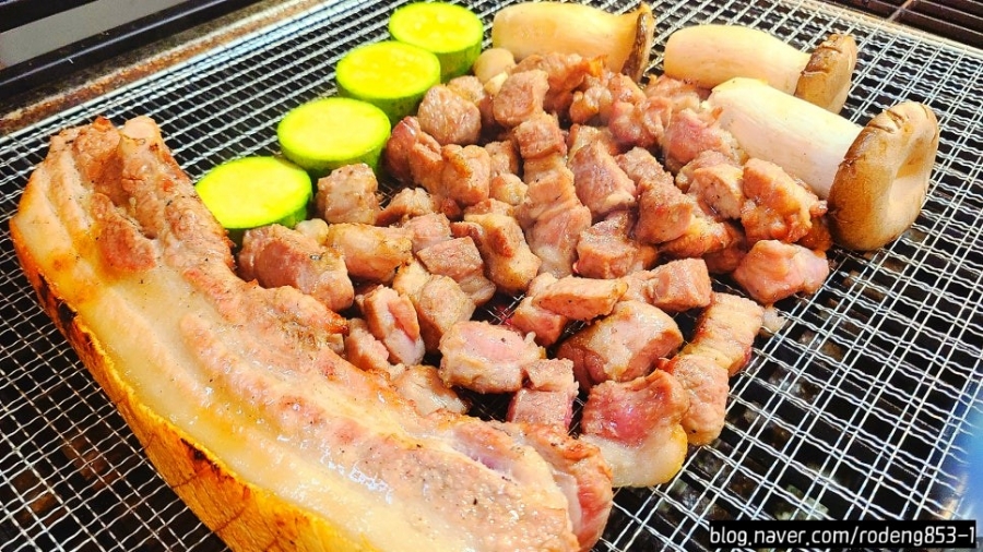 로뎅853-1 이미지