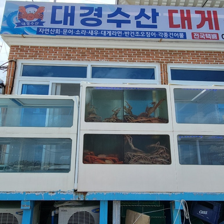 대경수산 이미지