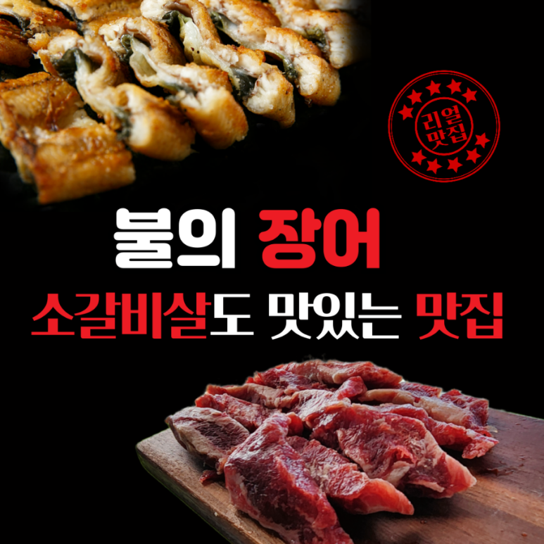 신양장어 이미지
