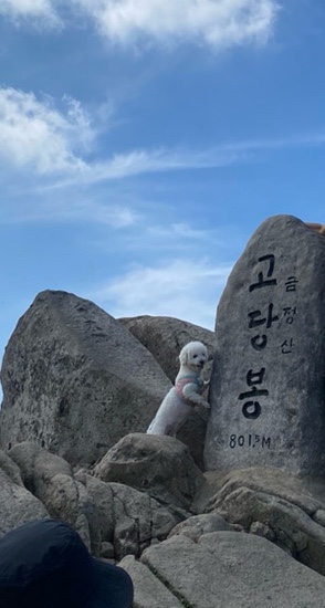 조쿠만 이미지