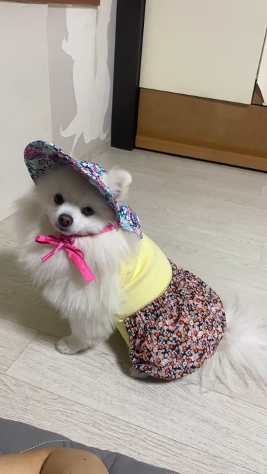 아이포토유 이미지