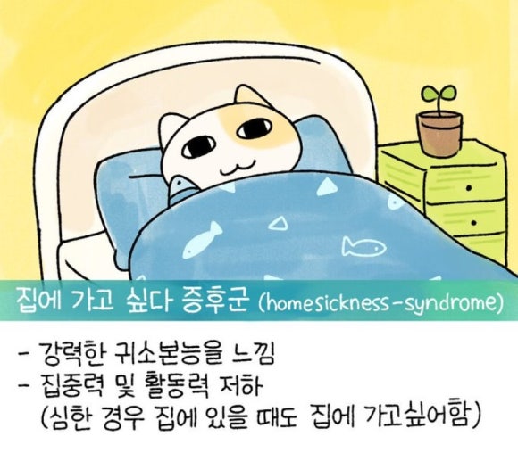 우리사 이미지