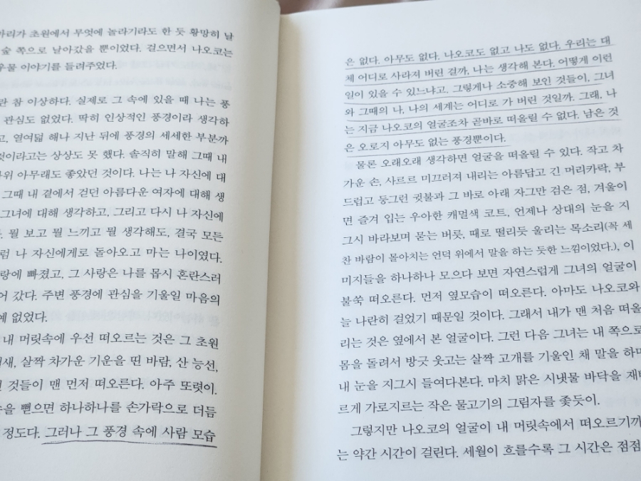 노르웨이의 숲 이미지