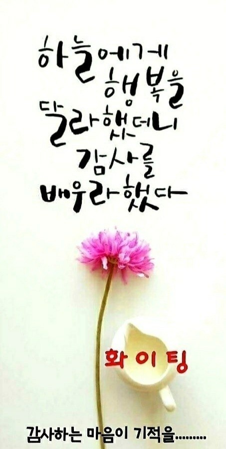 행복상사 이미지