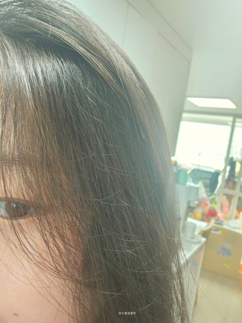 팔미시스템 이미지