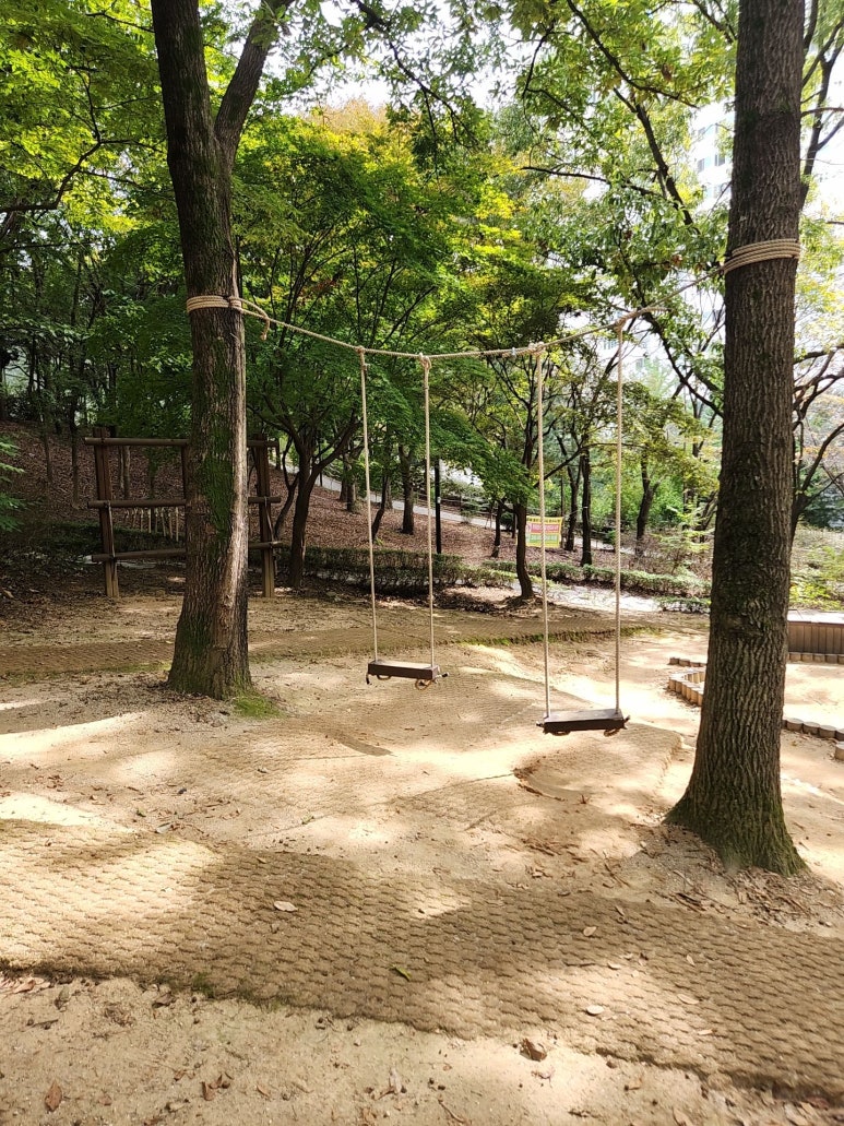 오목문화 유아숲체험원 이미지