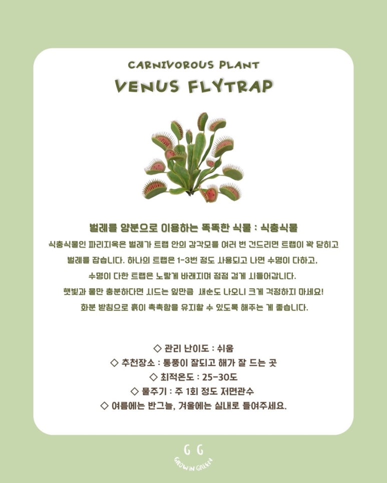 그린그로잉 이미지