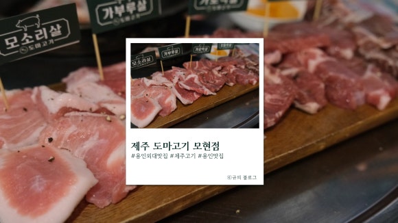 제주도마고기 모현점 이미지