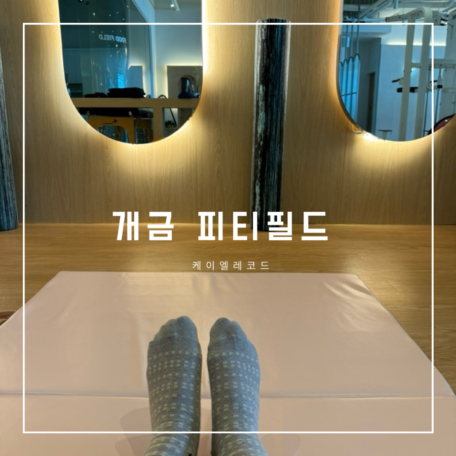 피티필드개금 이미지