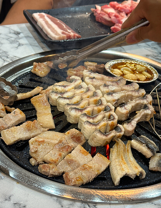 돌곶이민물장어 이미지