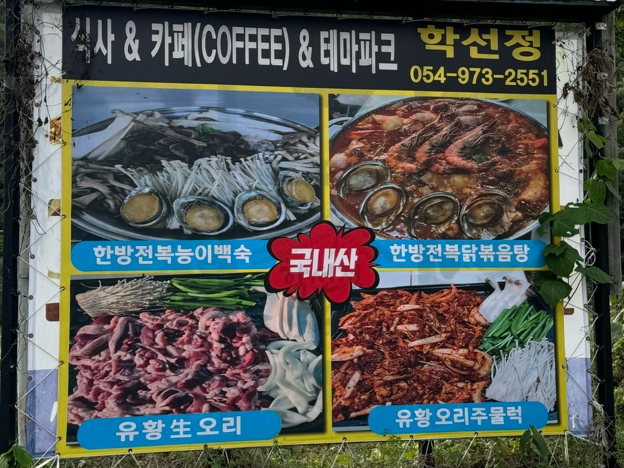 학선정 이미지