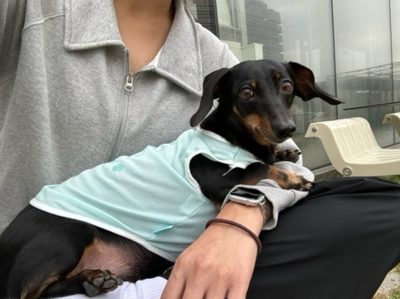 복길수산 이미지
