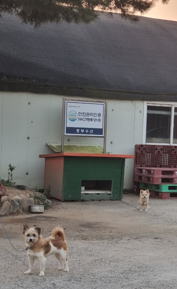 중앙탑민물 이미지