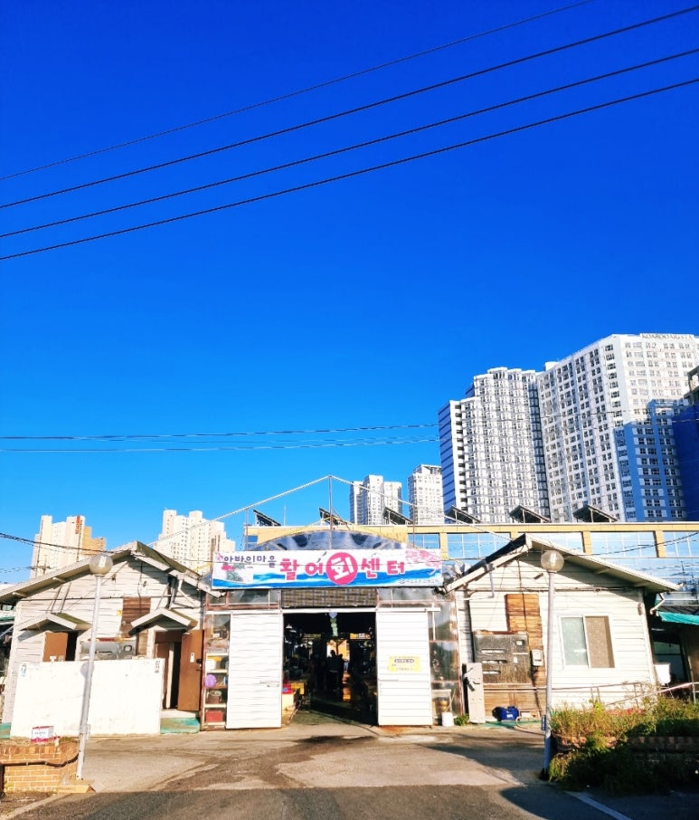 춘길호 이미지