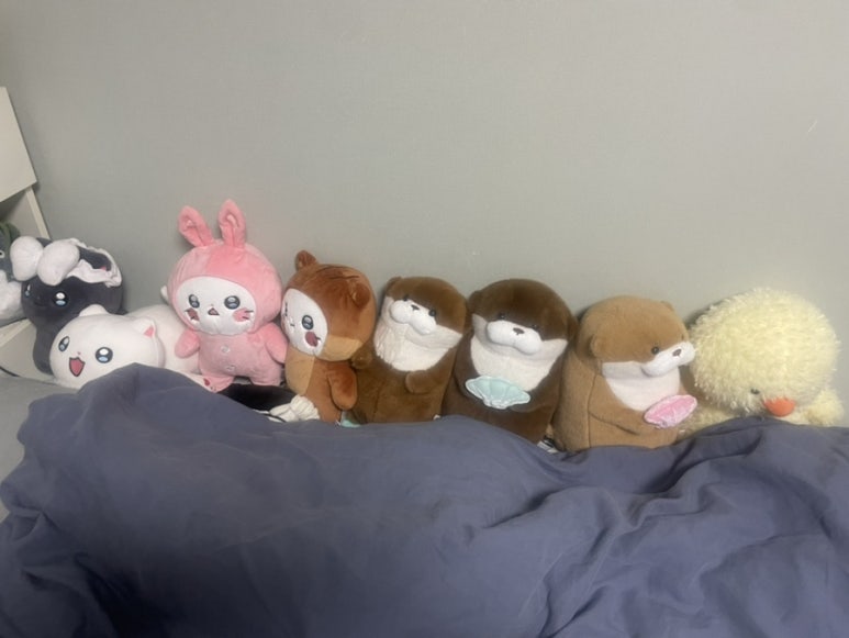 뽑기신 이미지