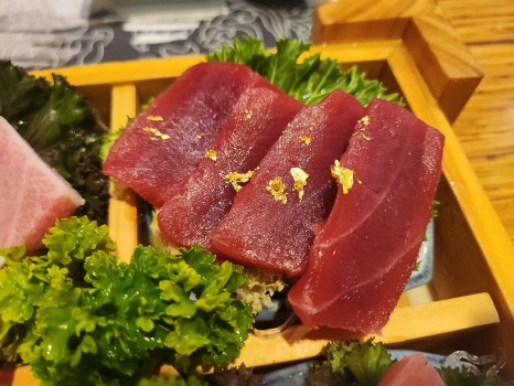 큰물참치 이미지